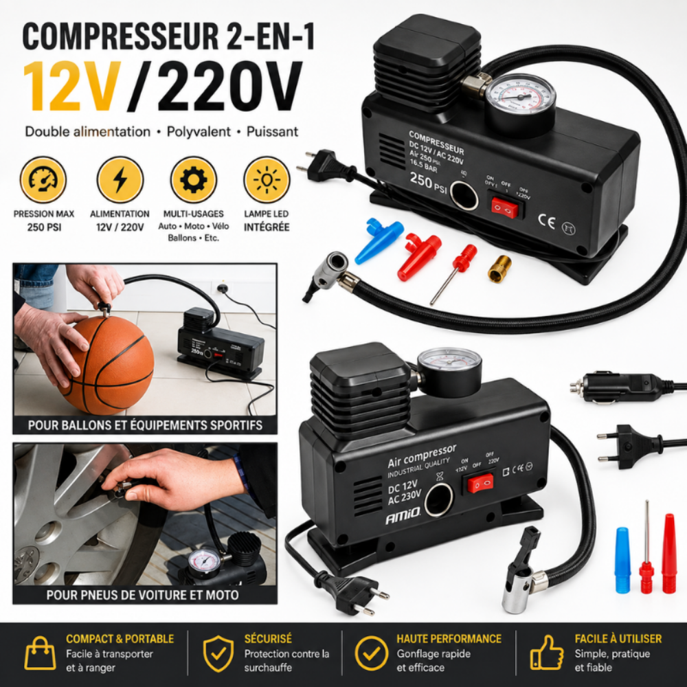 [1MMT9-1] COMPRESSEUR 2-EN-1 12V/220V  1MMT9-1