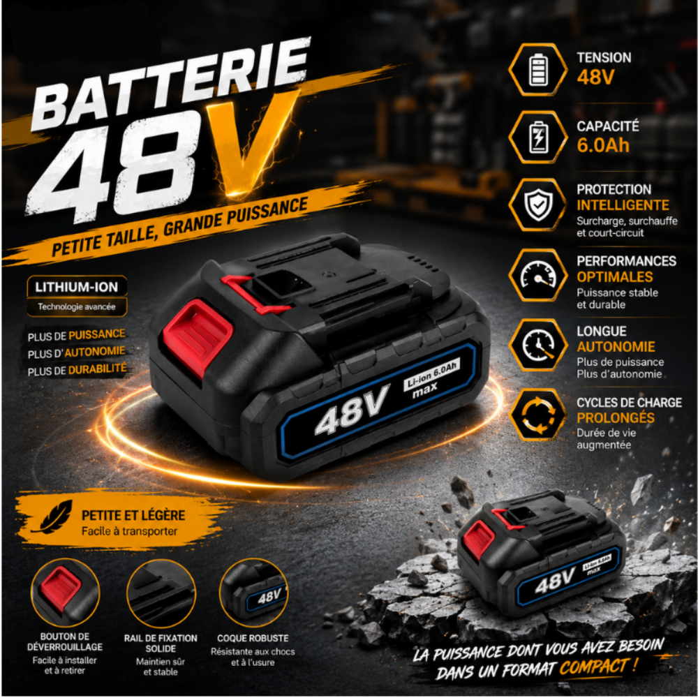 BATTERIE 48V 6.0AH