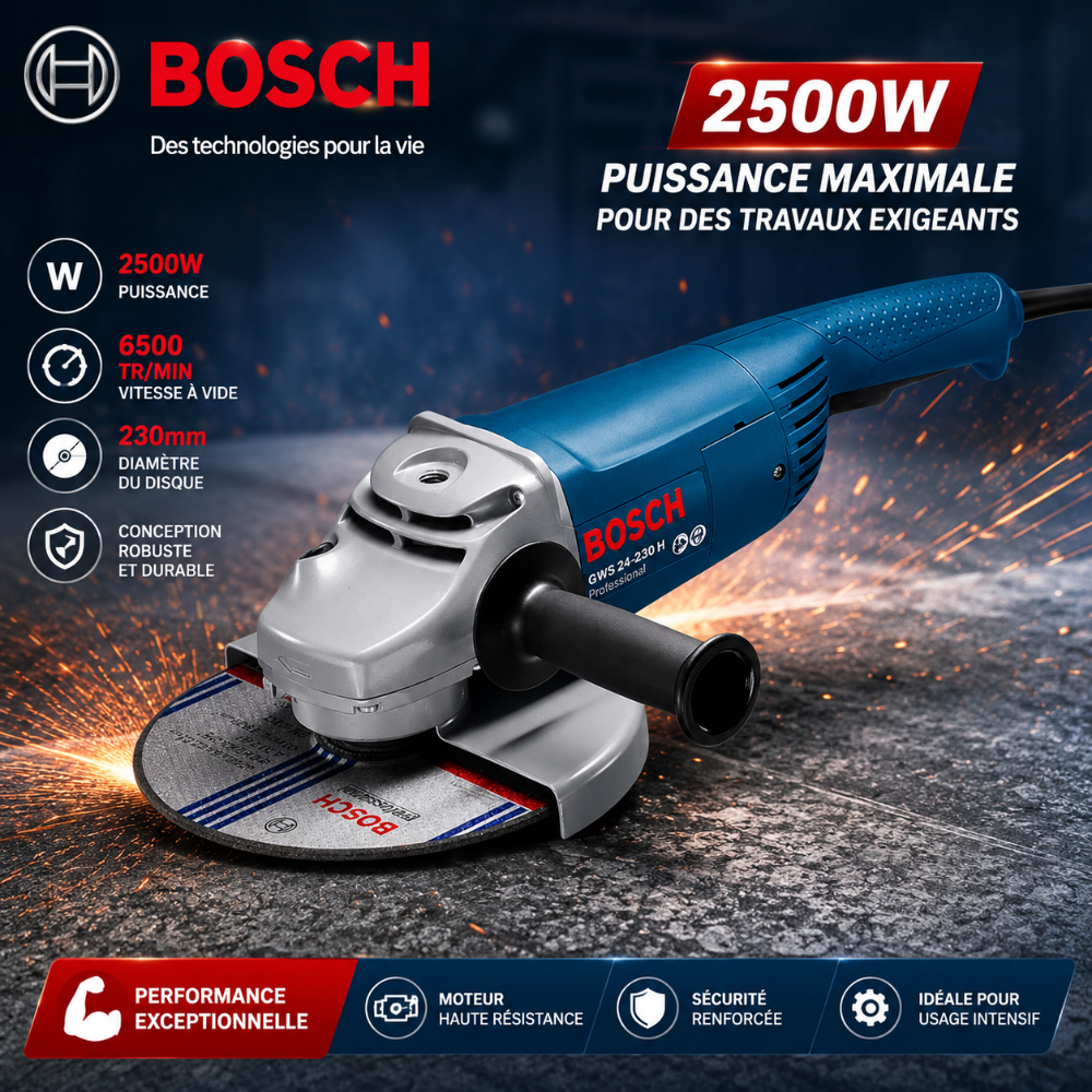 MEULE 2500W BOSCH